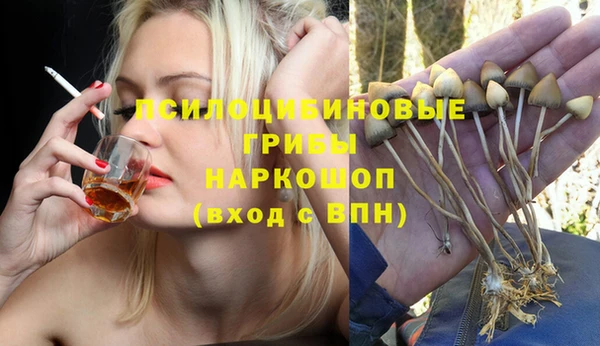 ALPHA PVP Остров